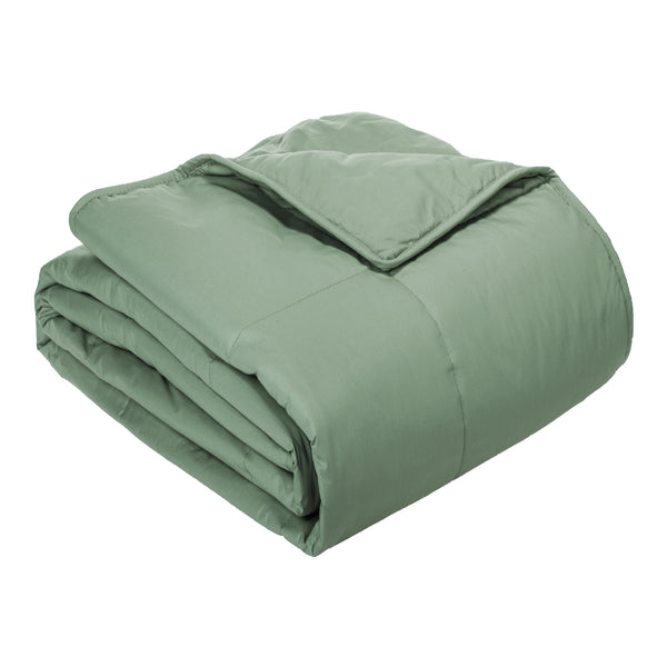 Cottonpure Cotton Filled Blanket