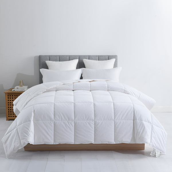 Cottonpure Organic 300 Thread Count Cotton Filled Comforter